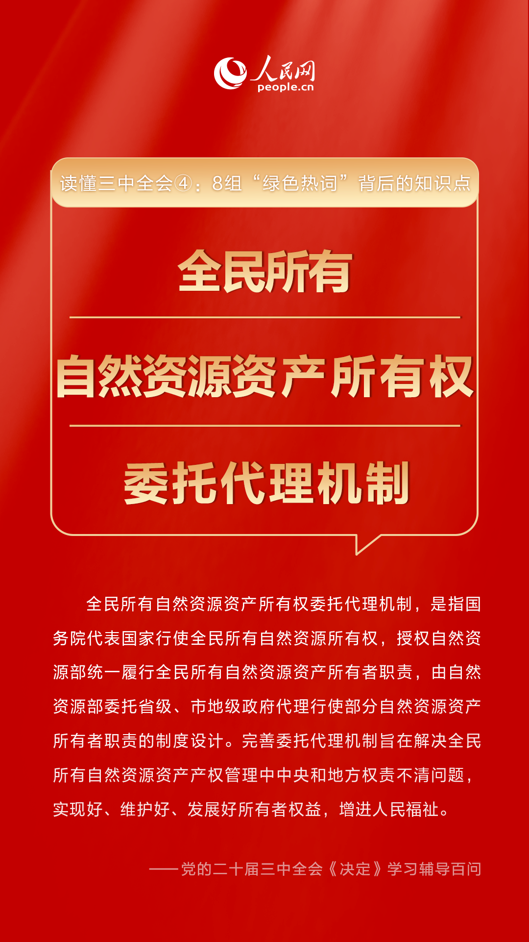 管家婆期期四肖四码中,管家婆期期四肖四码中，揭示背后的风险与挑战