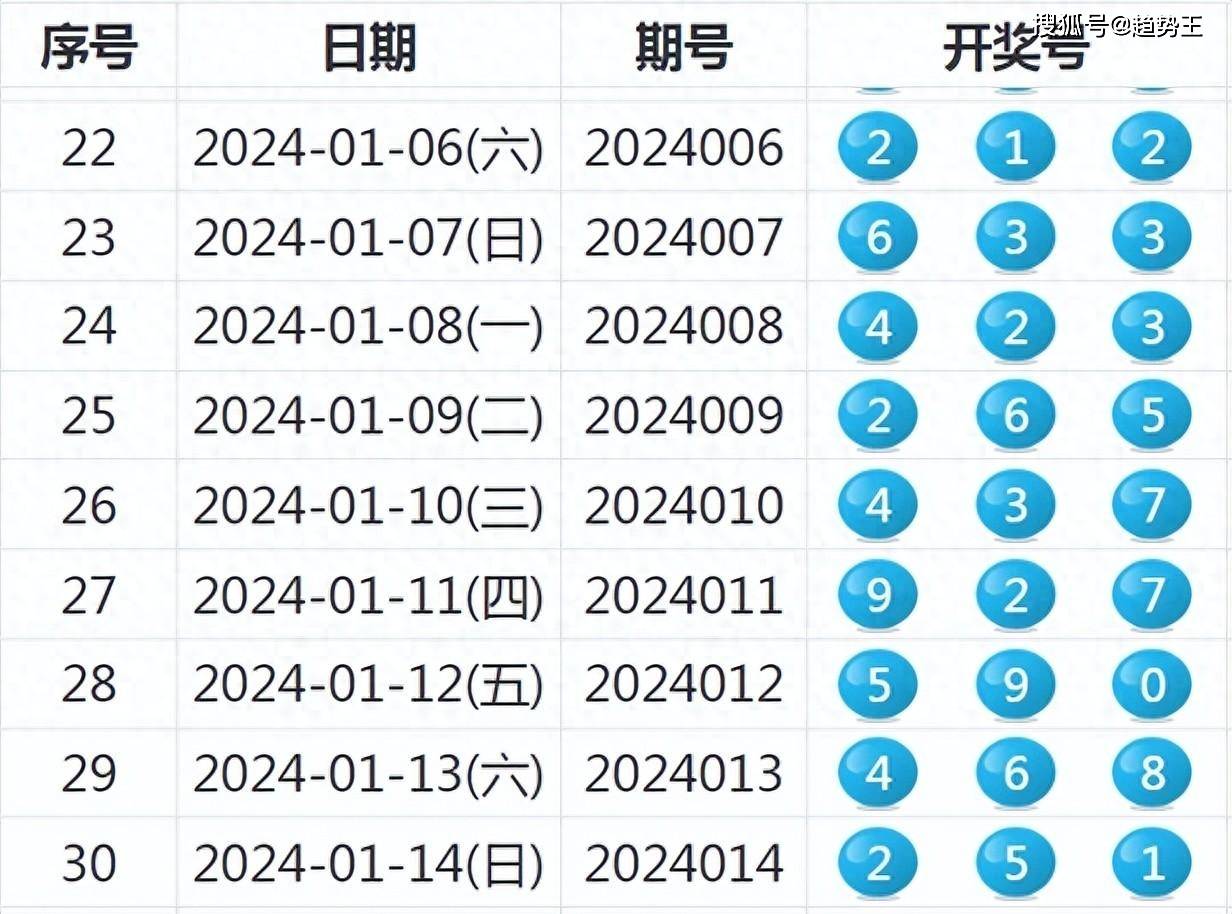 2024年最新开奖结果,揭秘2024年最新开奖结果，幸运背后的故事与启示