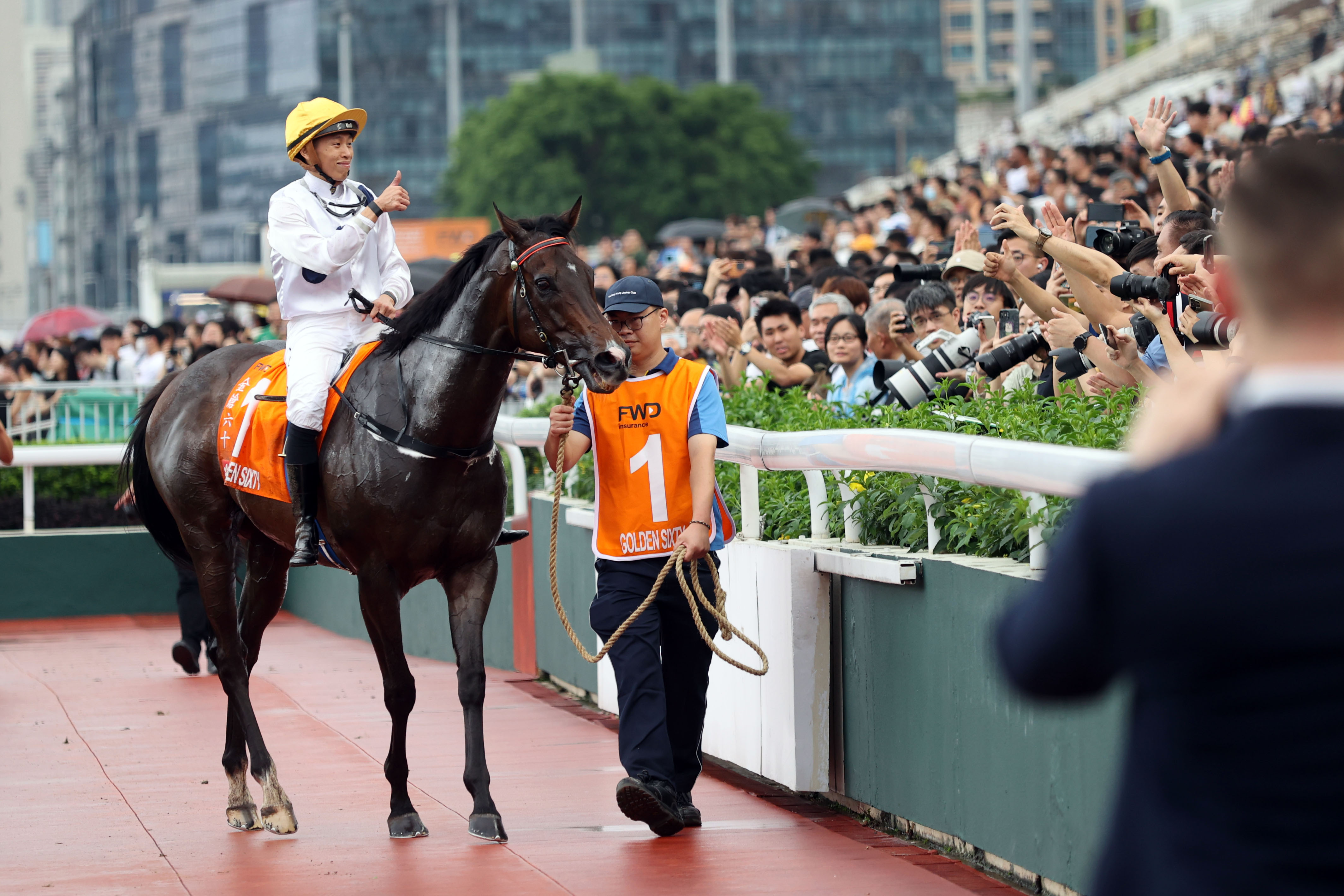 香港2024最准马资料免费,香港2024年最准马资料免费，探索预测与赛马文化