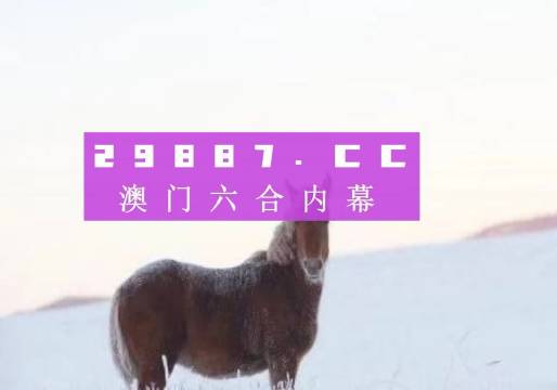 今晚澳门必中一肖一码适囗务目,今晚澳门必中一肖一码适囗务目之探索与期待