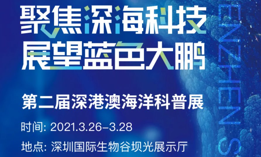 新澳2025大全正版免费,新澳2025大全正版免费，探索与体验