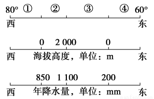 东成西就资料4肖八码,东成西就资料解析，肖八码的秘密