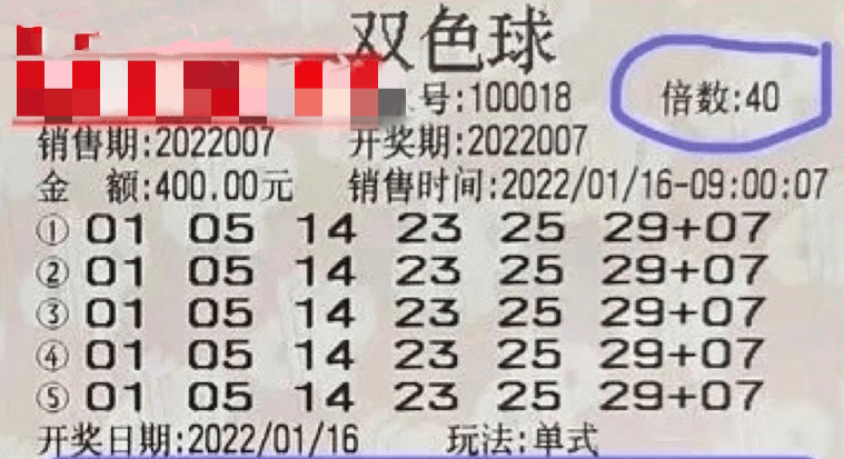 2025新澳门今晚开奖号码和香港,澳门与香港的未来彩票世界，探索与期待