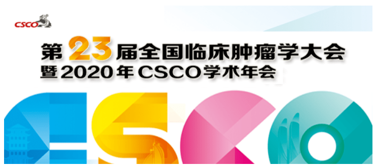 2025新奥资料免费精准071,探索未来，2025新奥资料的免费精准共享之旅（071视角）