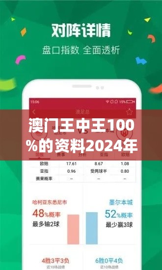 2025年新澳门王中王免费,探索澳门新纪元，2025年王中王免费现象的背后