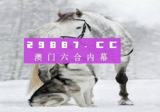 7777788888新版跑狗,探索新版跑狗，77777与8888的魅力之旅