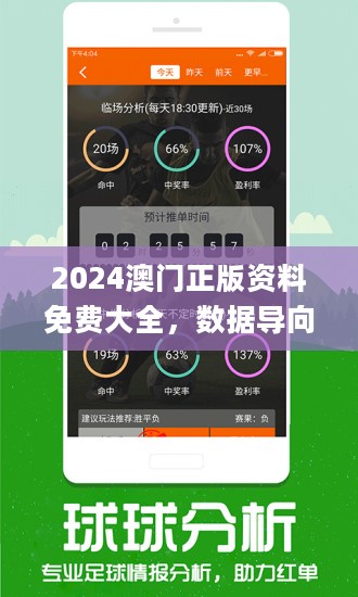 澳门精准正版资料63期,澳门精准正版资料解析，第63期深度探讨