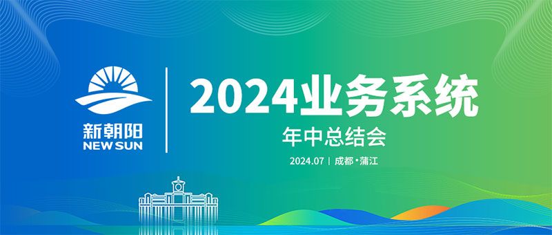 2025新澳精准正版资料,探索未来，解析2025新澳精准正版资料