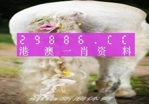 2023澳门正版全年免费资料,澳门正版全年免费资料，探索与体验