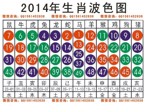 2025十二生肖49个码004期 04-49-26-19-30-44T：10,探索十二生肖与彩票密码，一场数字与文化的交融之旅